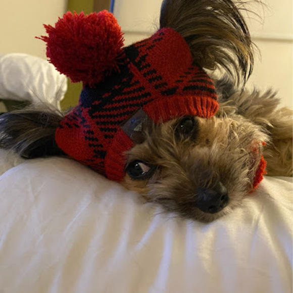 Meet your Posher, Black - Picture 1 of 1